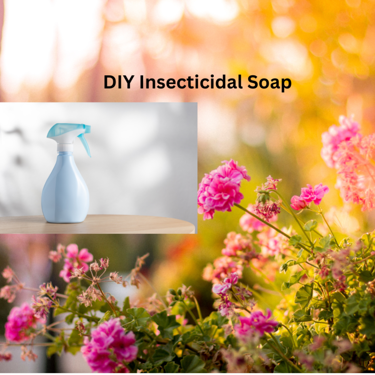 DIY Insecticidal Soap
